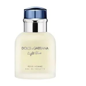 Dolce & Gabbana Light Blue pour Homme Eau De Toilette 100 ml